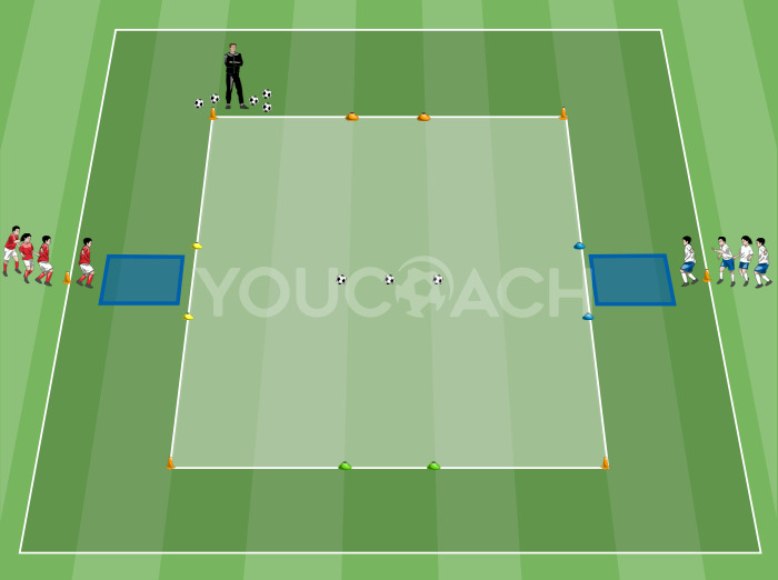 Habilidades motoras básicas: Tempo de reação