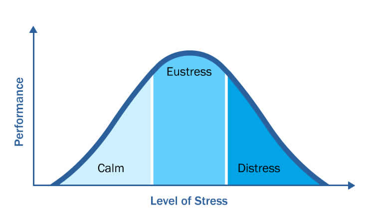 Stress curve