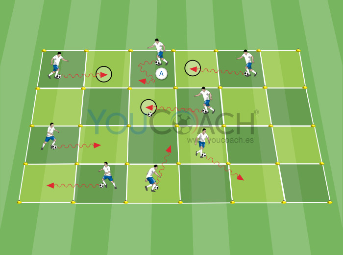 Técnica y ocupación de los espacios